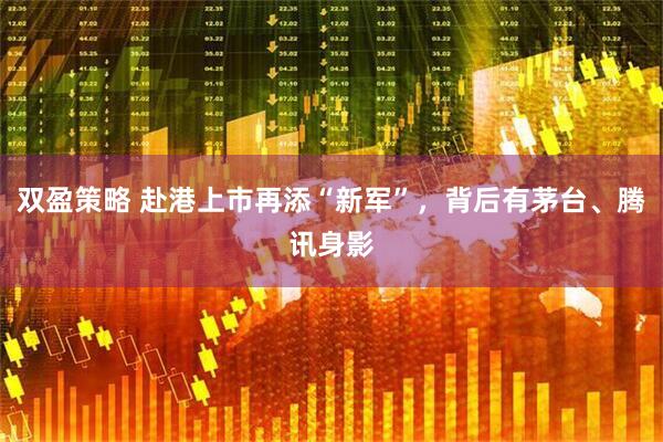 双盈策略 赴港上市再添“新军”，背后有茅台、腾讯身影