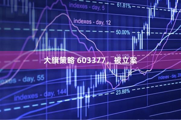 大旗策略 603377，被立案