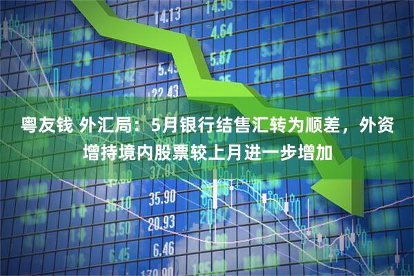 粤友钱 外汇局：5月银行结售汇转为顺差，外资增持境内股票较上月进一步增加