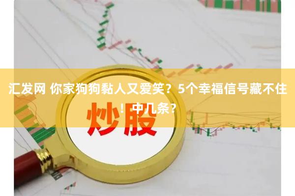 汇发网 你家狗狗黏人又爱笑？5个幸福信号藏不住！中几条？
