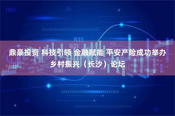 鼎豪投资 科技引领 金融赋能 平安产险成功举办乡村振兴（长沙）论坛