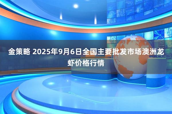 金策略 2025年9月6日全国主要批发市场澳洲龙虾价格行情
