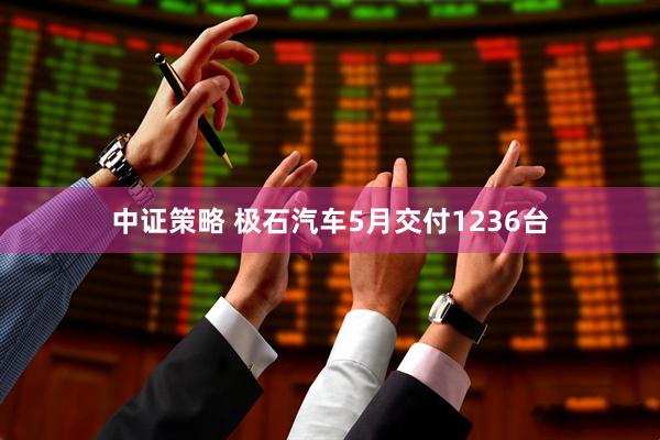 中证策略 极石汽车5月交付1236台