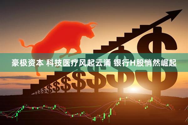 豪极资本 科技医疗风起云涌 银行H股悄然崛起