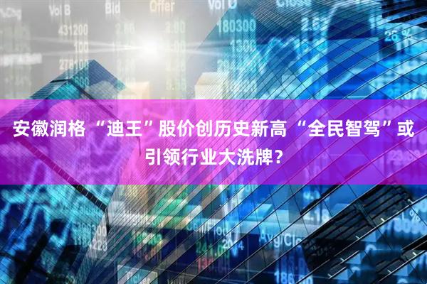 安徽润格 “迪王”股价创历史新高 “全民智驾”或引领行业大洗牌？