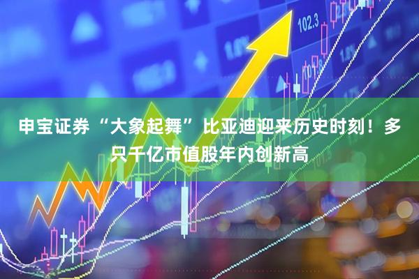 申宝证券 “大象起舞” 比亚迪迎来历史时刻！多只千亿市值股年内创新高