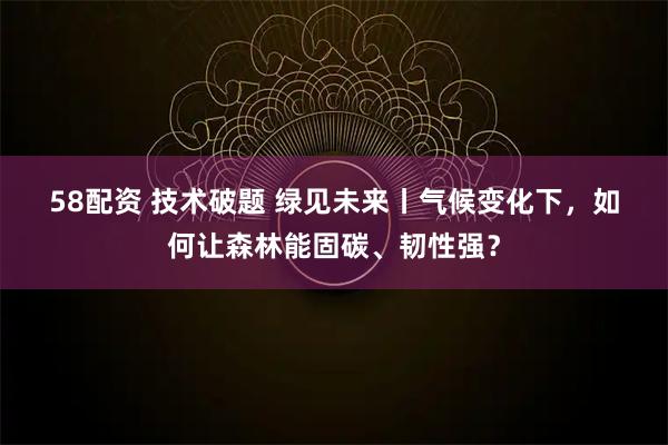 58配资 技术破题 绿见未来丨气候变化下，如何让森林能固碳、韧性强？
