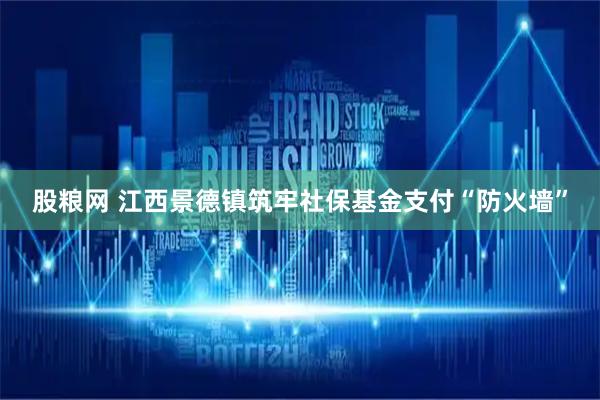 股粮网 江西景德镇筑牢社保基金支付“防火墙”