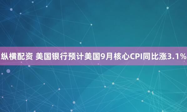 纵横配资 美国银行预计美国9月核心CPI同比涨3.1%