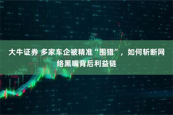 大牛证券 多家车企被精准“围猎”，如何斩断网络黑嘴背后利益链