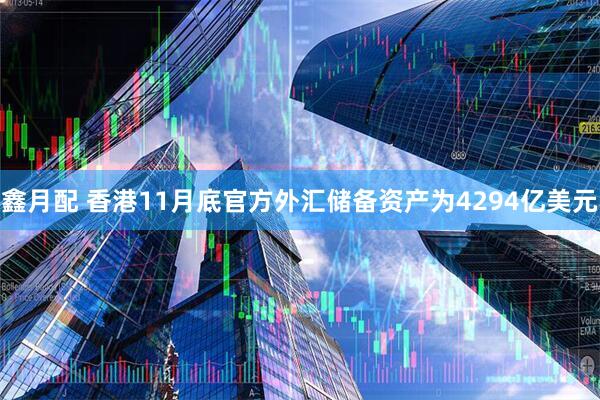 鑫月配 香港11月底官方外汇储备资产为4294亿美元