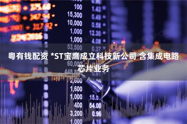 粤有钱配资 *ST宝鹰成立科技新公司 含集成电路芯片业务