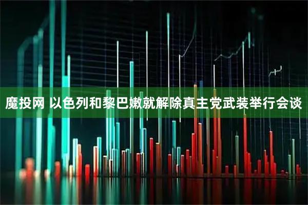 魔投网 以色列和黎巴嫩就解除真主党武装举行会谈